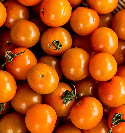 Sungold Cherry Tomato - ORGANIC - 6 pint case