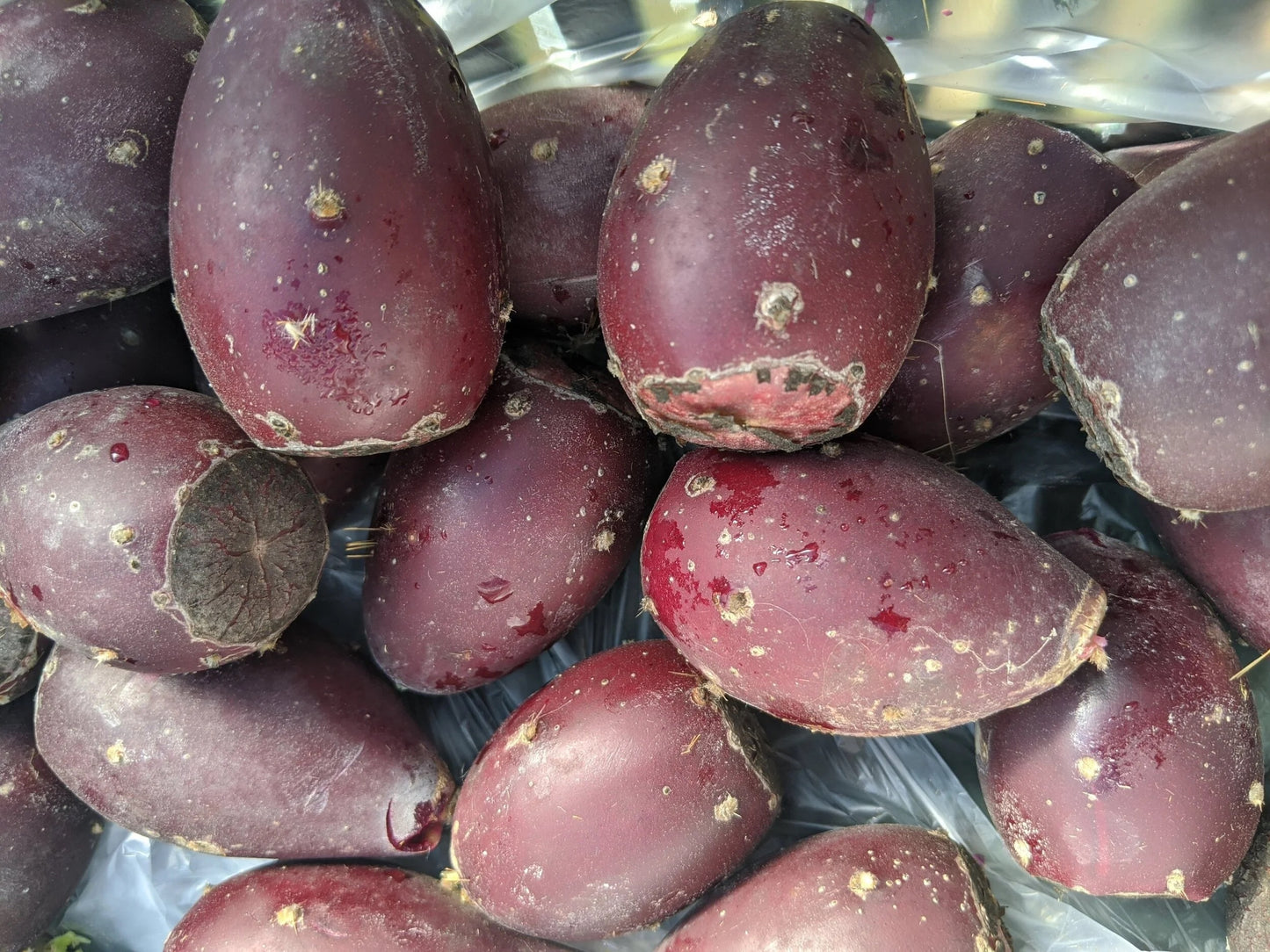 Prickly Pear 1lb