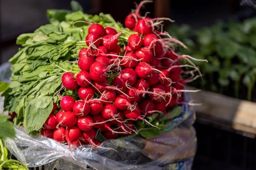 Red Radish with Tops - 8 bundles