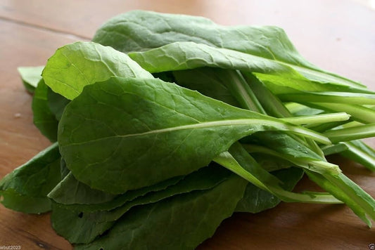 Komatsuna - Fresh Whole Leaf 5lbs