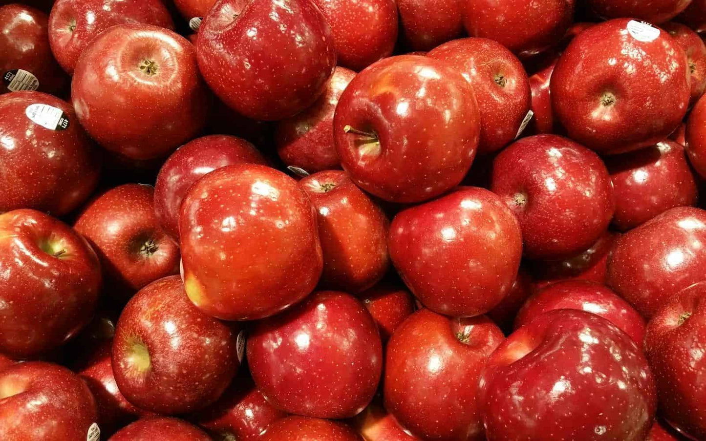 Apple - Rome - Bushel