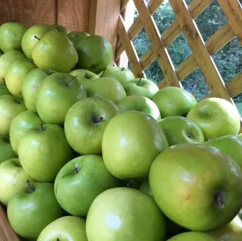 Apple - Granny Smith - Bushel