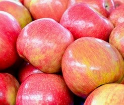 Apple - Ambrosia - Bushel