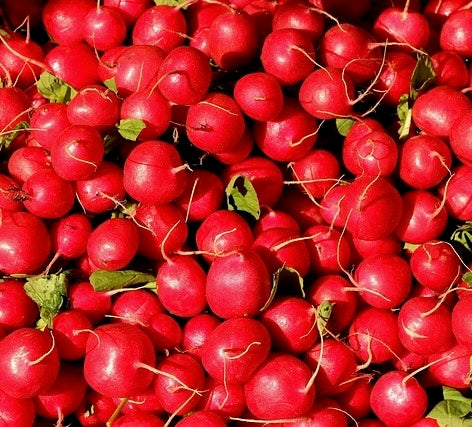 BOGO Radish Cherry Belle - 4lb bag