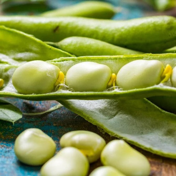Butter Peas (Green) - Fresh Frozen - 8lb