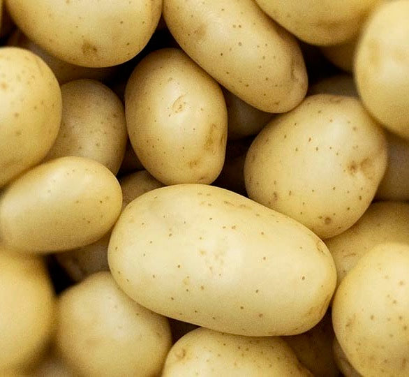 New Potatoes - White- Size A - 10lb