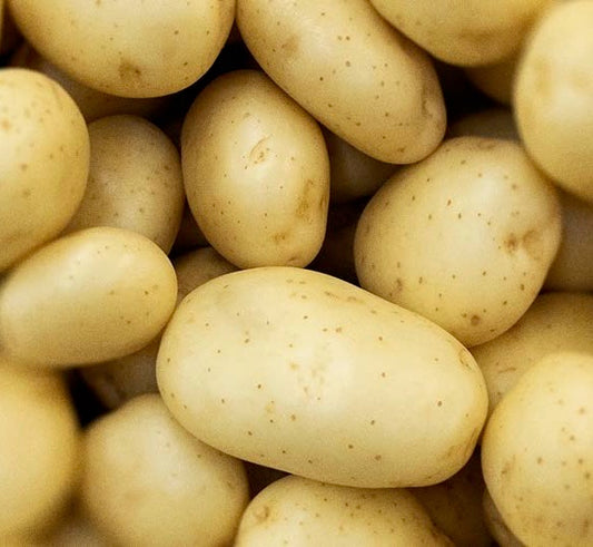 New Potatoes - White- Size A - 10lb