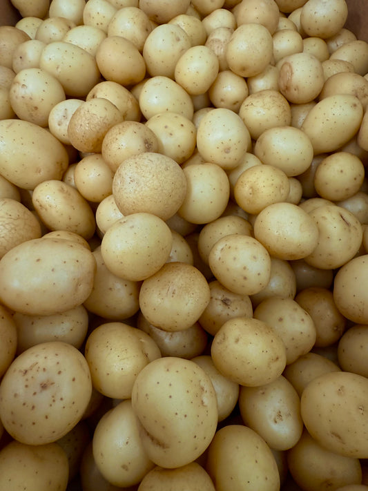 New Potatoes - Mixed - Tiny/ Pearl (C) 10lb
