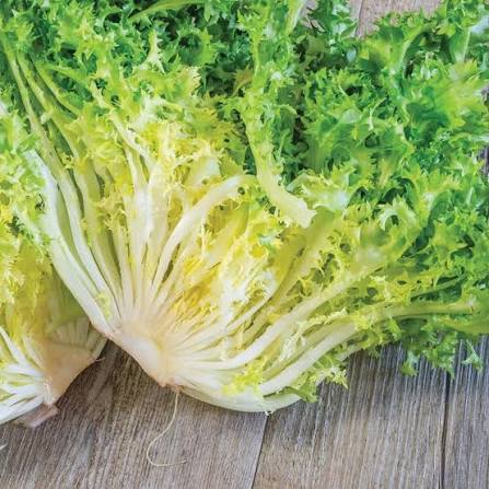 Frisée (curly endive) - 6ct - 6-8LBS