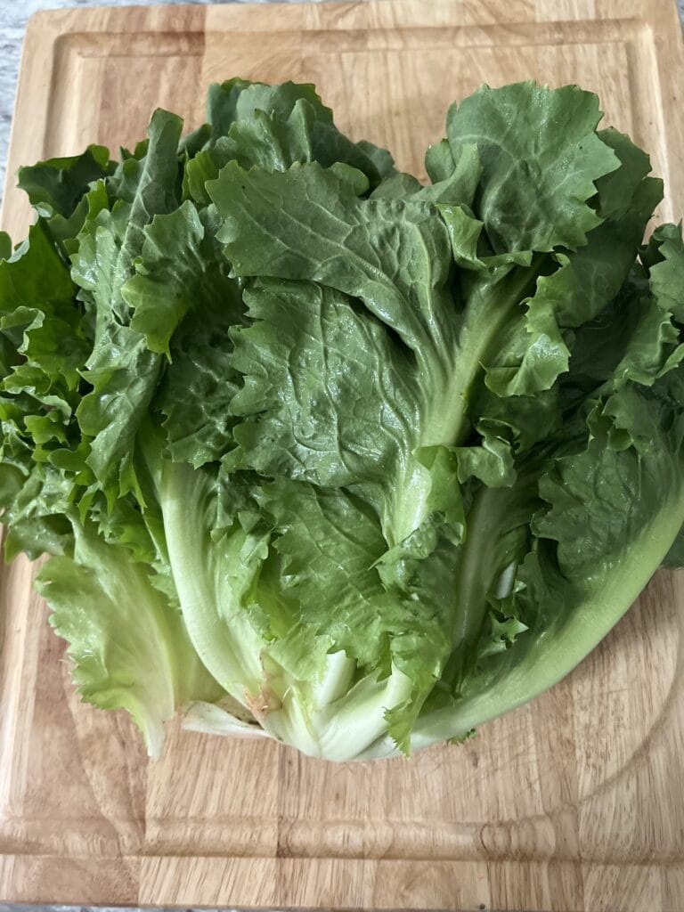 Escarole - 6ct - 6-8LBS