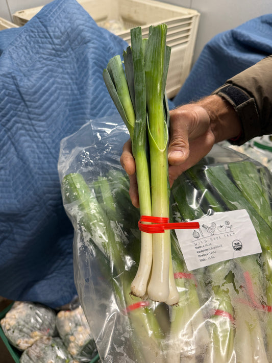 Leeks - Baby - 12 bunches