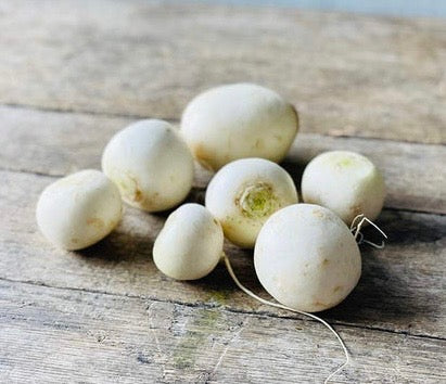 Turnips - White Salad - Organic - 10lb