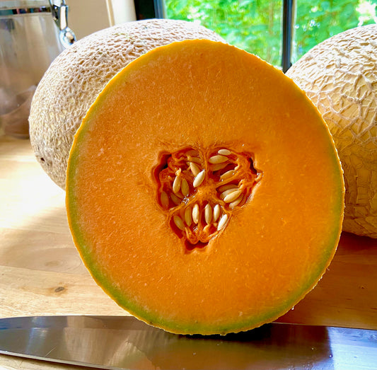 Cantaloupe - 3 Count Case