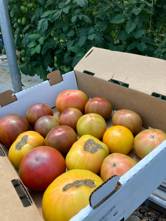 Tomatoes - Heirloom - 10lb Case