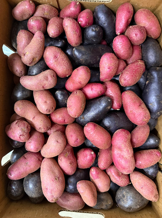 Potato - Fingerling - Matt Fry 10lb