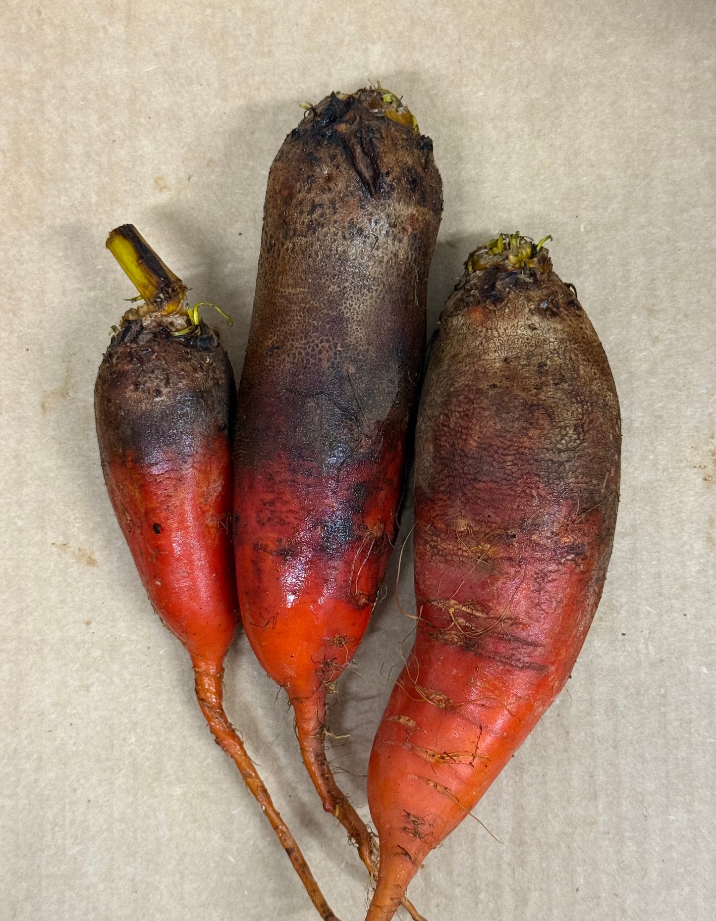 Beets - Badger Flame 5lb