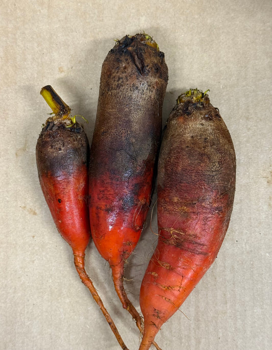 Beets - Badger Flame 5lb