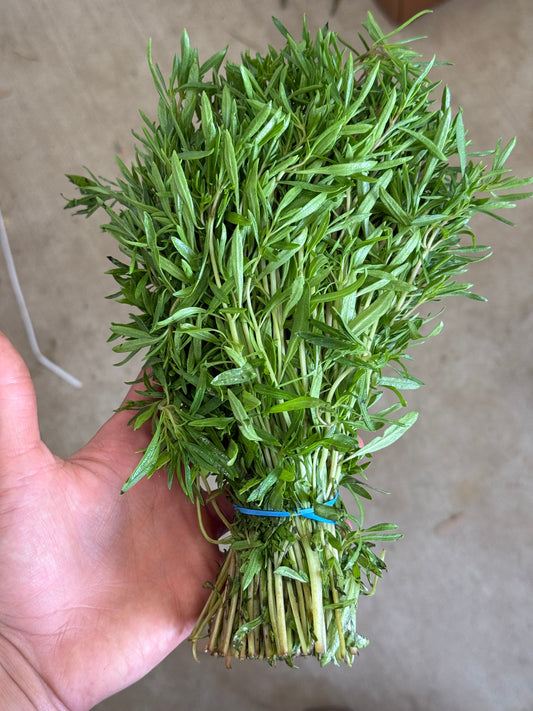Herb - Summer Savory - Half Pound