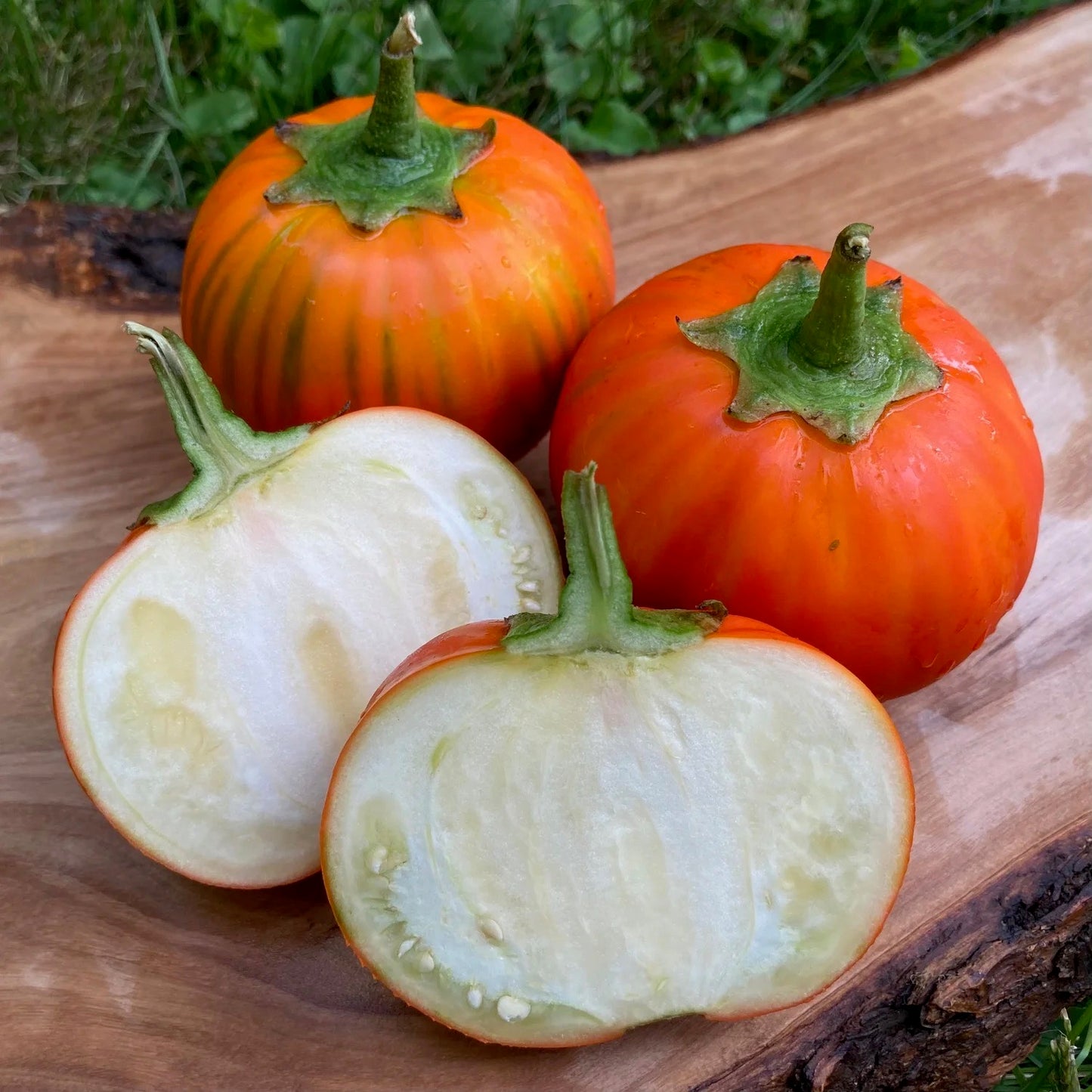 Eggplant - Red Rotanda (Italian Heirloom) - 10lb
