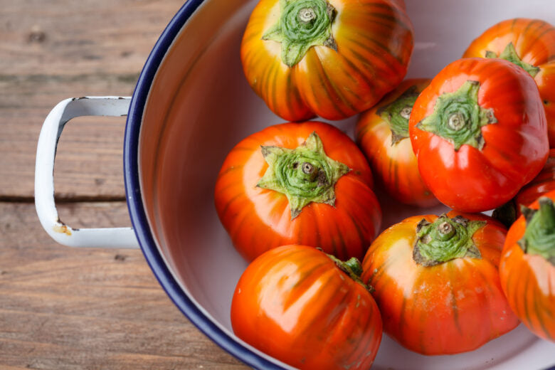 Eggplant - Red Rotanda (Italian Heirloom) - 10lb