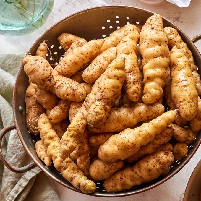 Potatoes - Ozette (Makah Heirloom) 20lb
