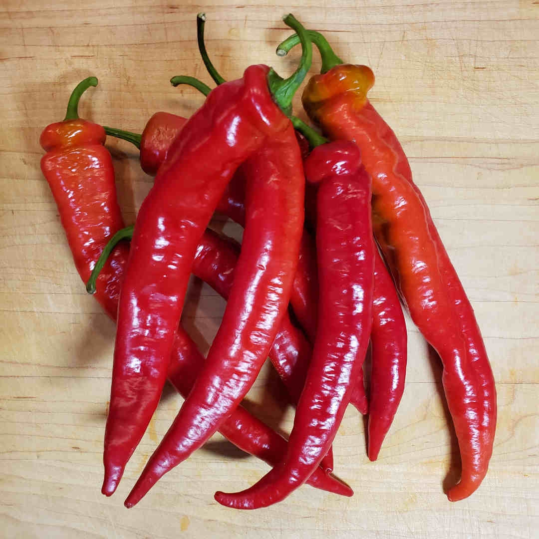 Pepper - Jimmy Nardello 9lb
