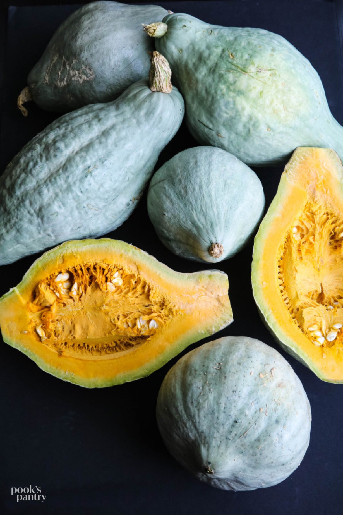 Squash - Blue Hubbard - Ugly on the Outside Honey Sweet on the Inside - 1ct