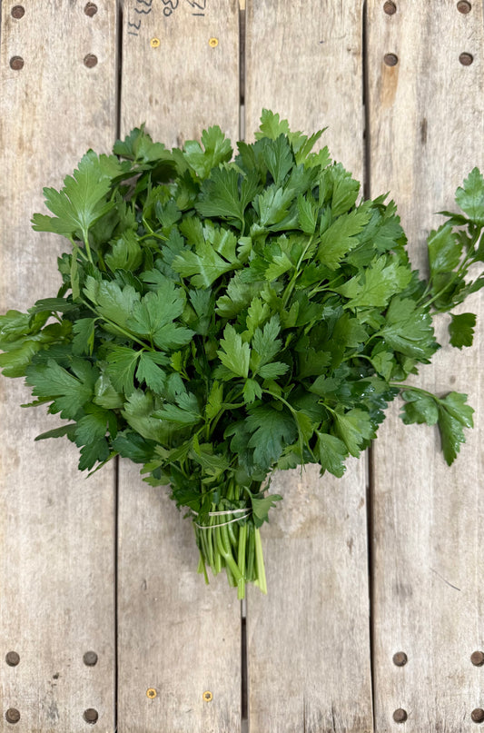 Italian Parsley