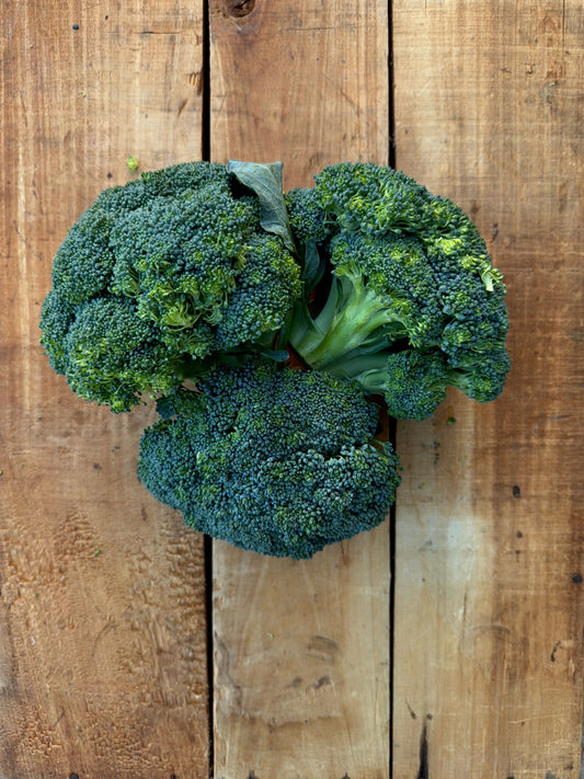 Broccoli - 20lb Case