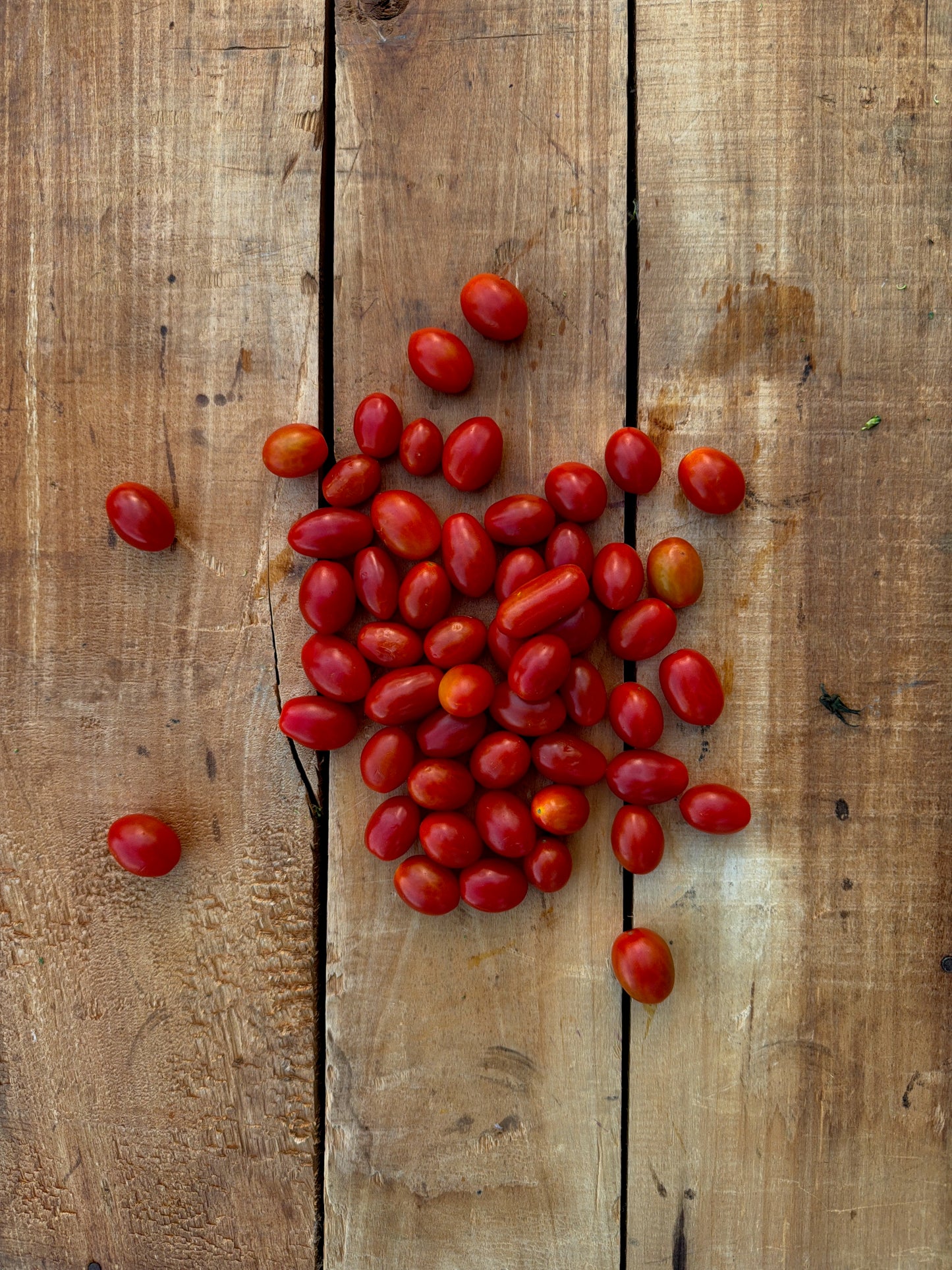 Tomato, Grape - 10lb case