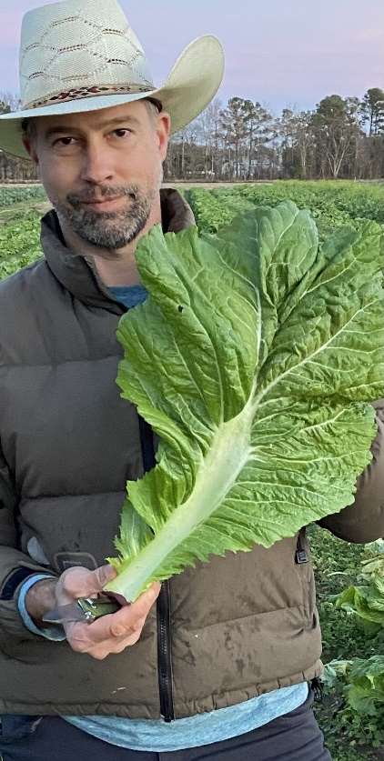 Feaster Mustard Greens - 10lb Case