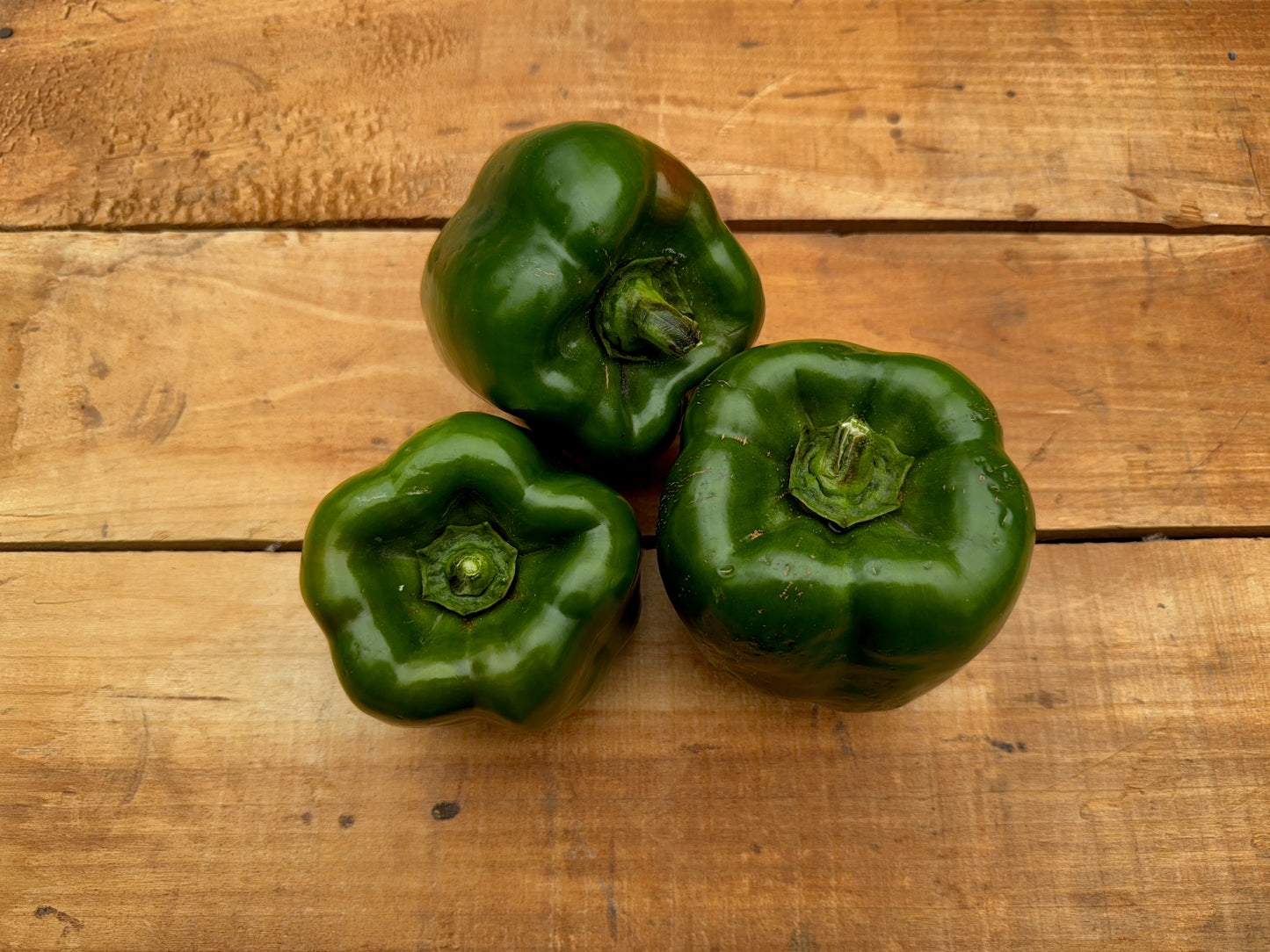 Pepper, Bell, Green - 20lb Case