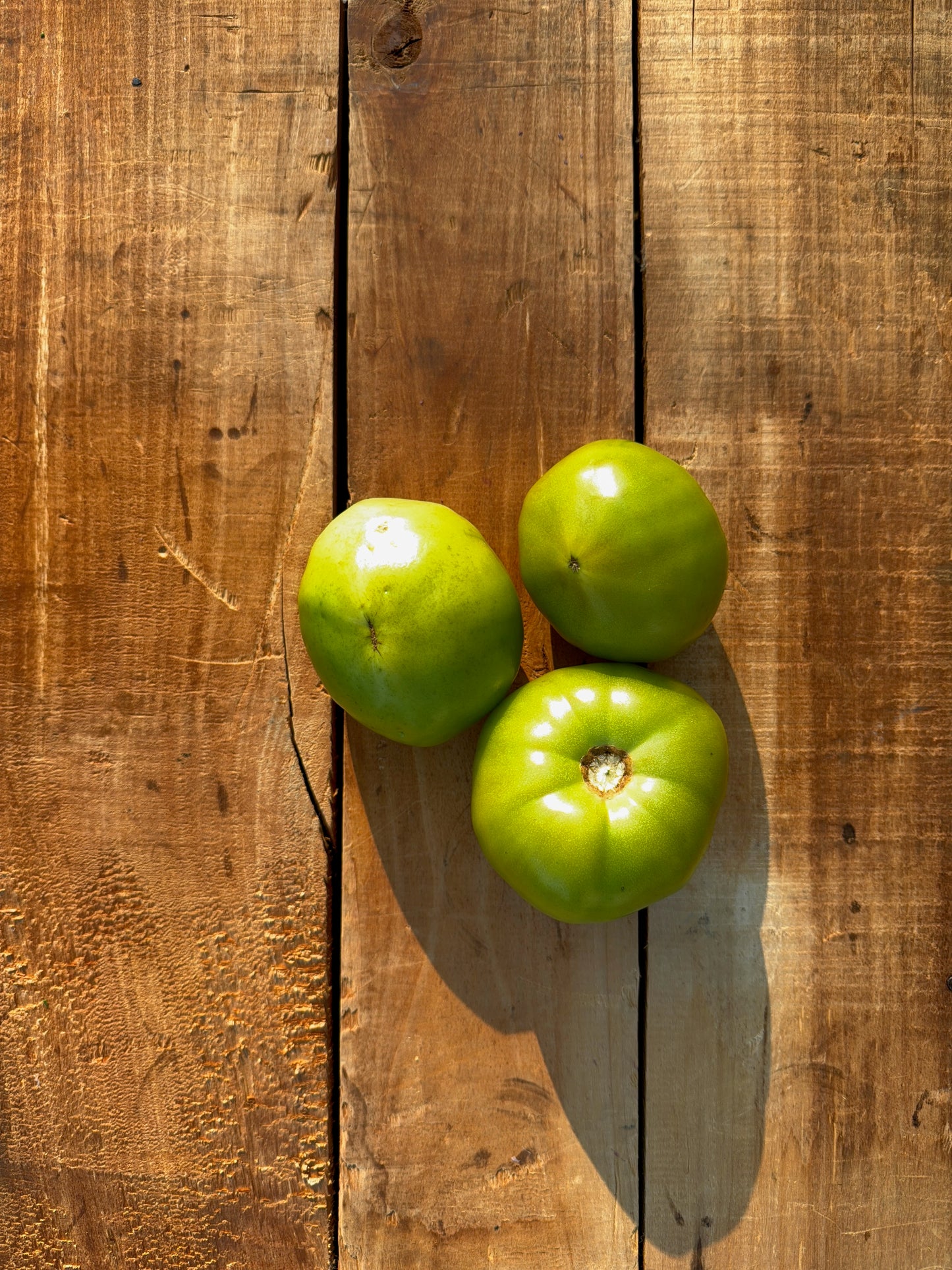 Tomato, Green - 20lb case