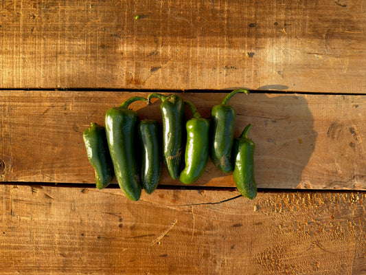 Pepper, Jalapeño - 5lb Case