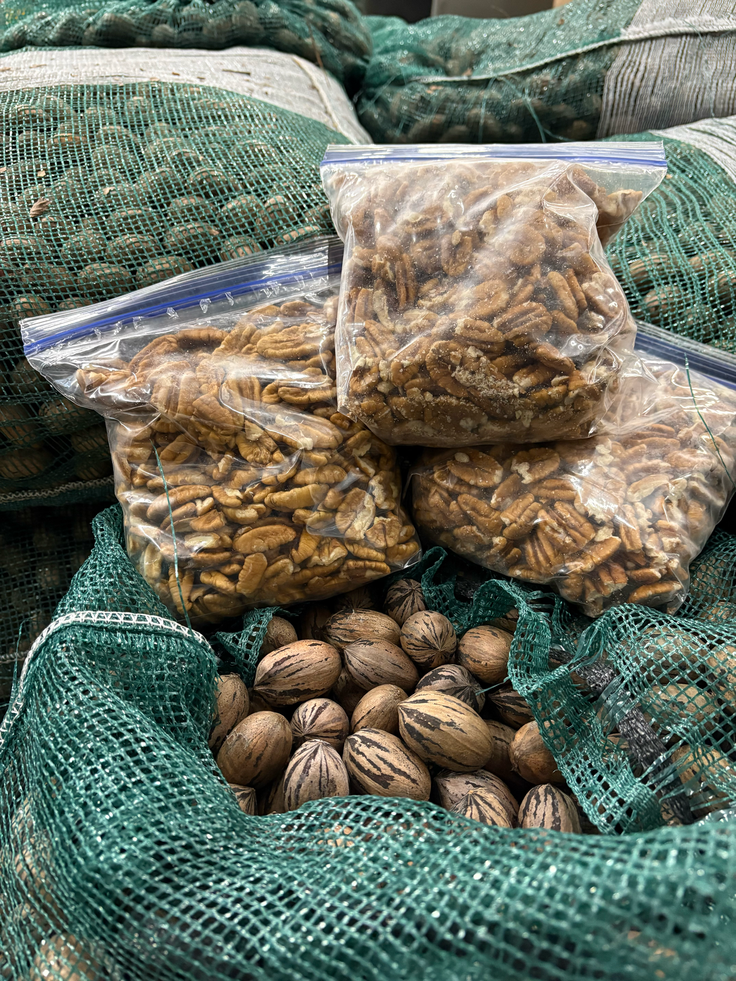 Pecans - 1lb Bag