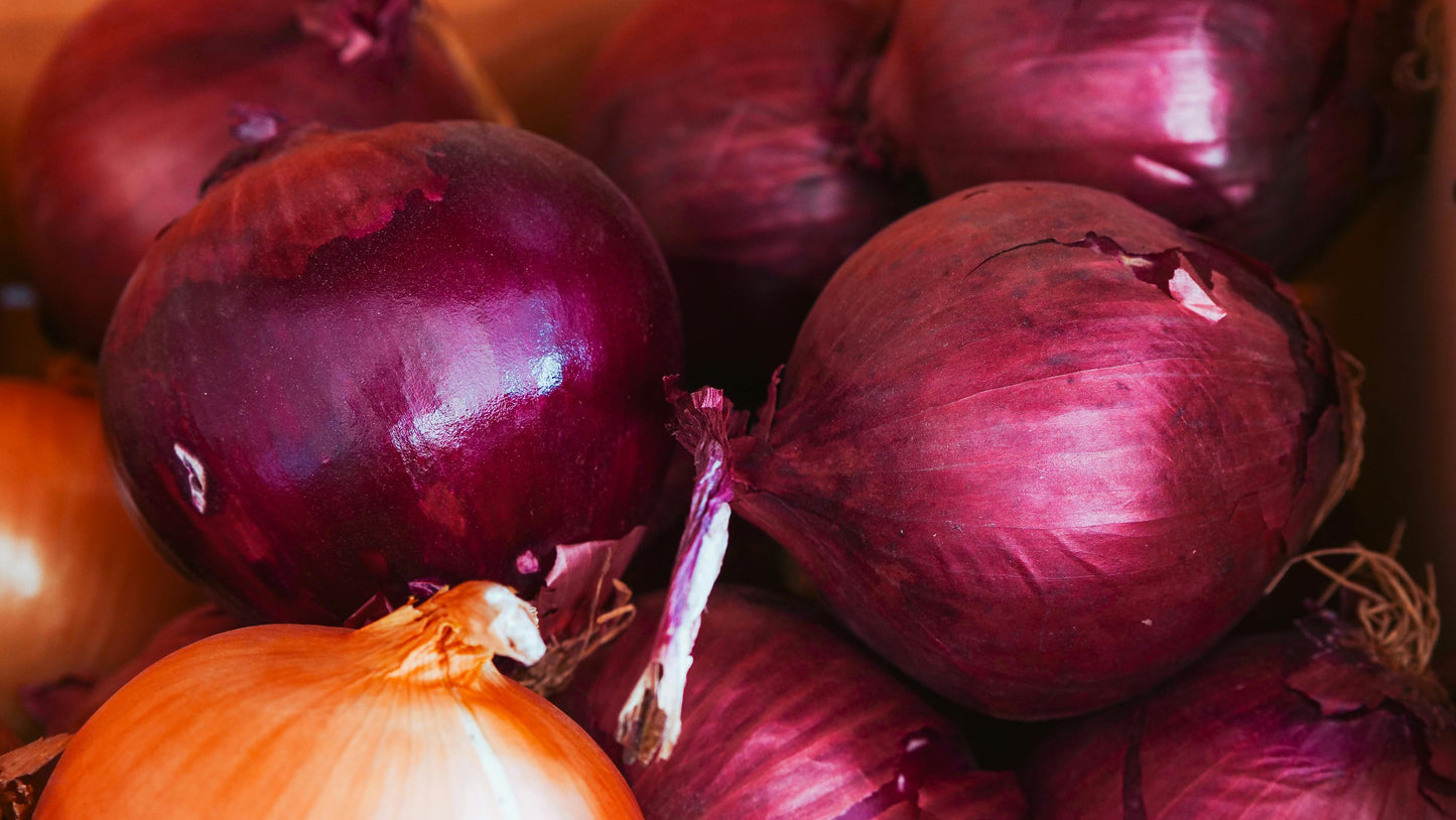 Santee Sweet Onion, Purple - 10 count