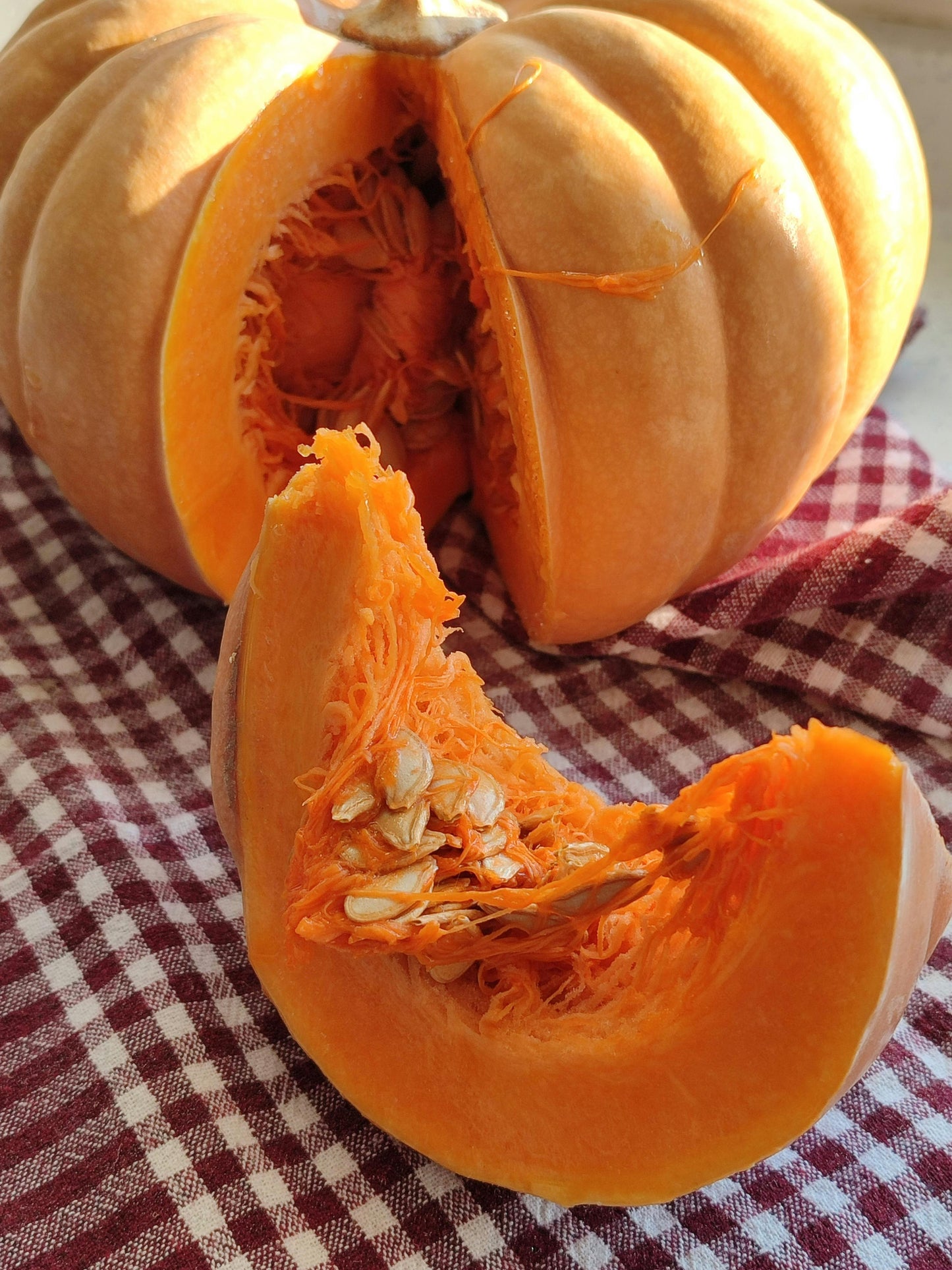 Squash, Dutch Fork - 30lb Case