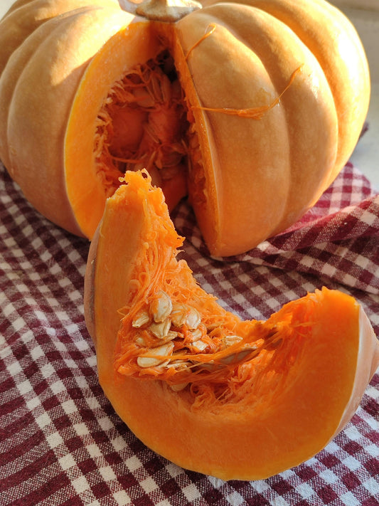 Squash, Dutch Fork - 15lb Case