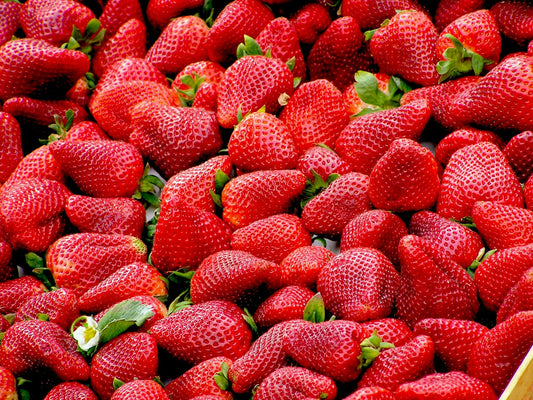 Strawberries - 2 Gallon