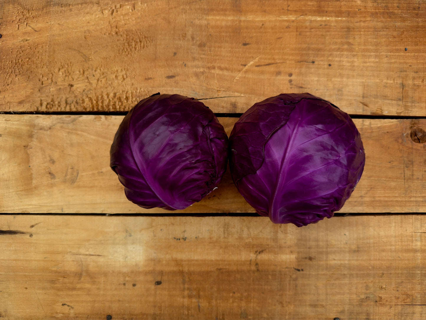 Cabbage, Purple, Whole - 20lb Case