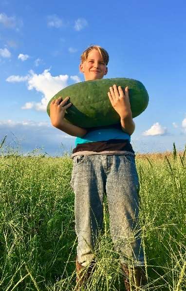 Bradford Watermelon