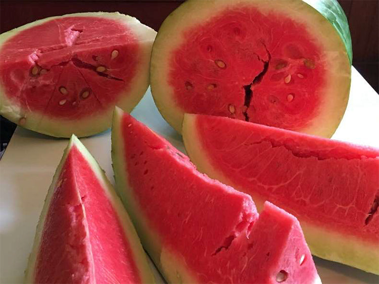Bradford Watermelon