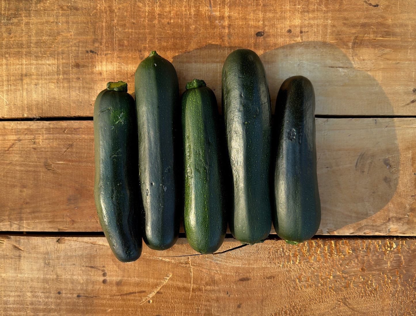 Squash, Zucchini - 20lb Case