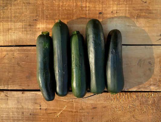 Squash, Zucchini - 10lb Case